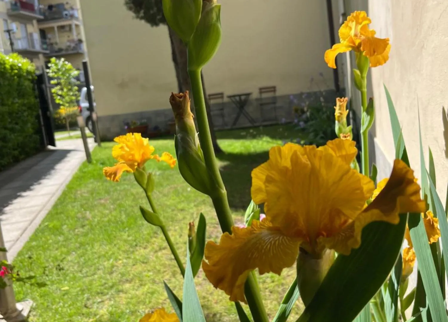 Dalu Florence Apartment Davide - Private Car Park 15 Minutes To The City Center 0*,  Italia