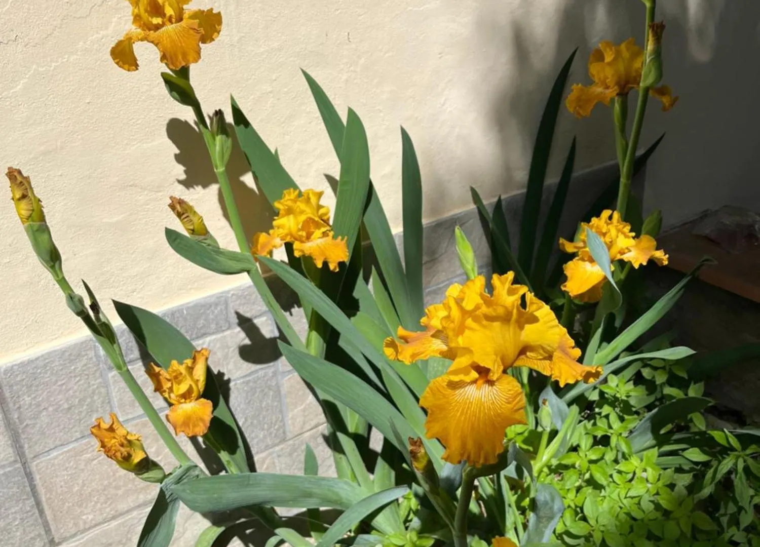 Dalu Florence Apartment Davide - Private Car Park 15 Minutes To The City Center